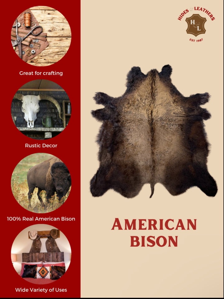 Buffalo / Bison Rug & Hide - Blanket Quality - Large - Hides & Leathers -