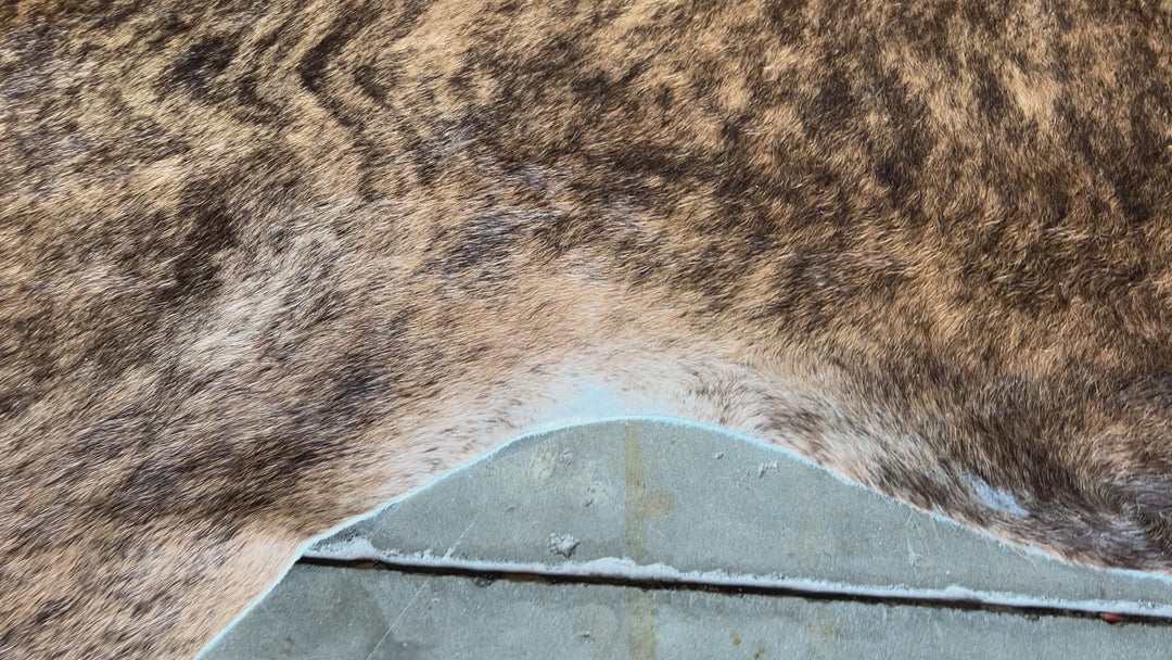 Genuine Brindle Cowhide Rugs