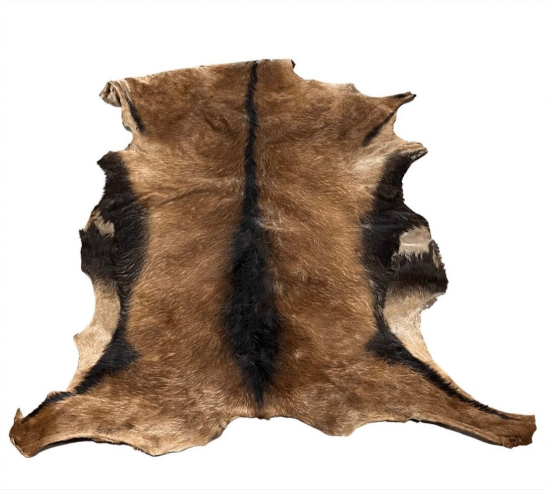 Rawhide - Goat - Hair on - Hides & Leathers -