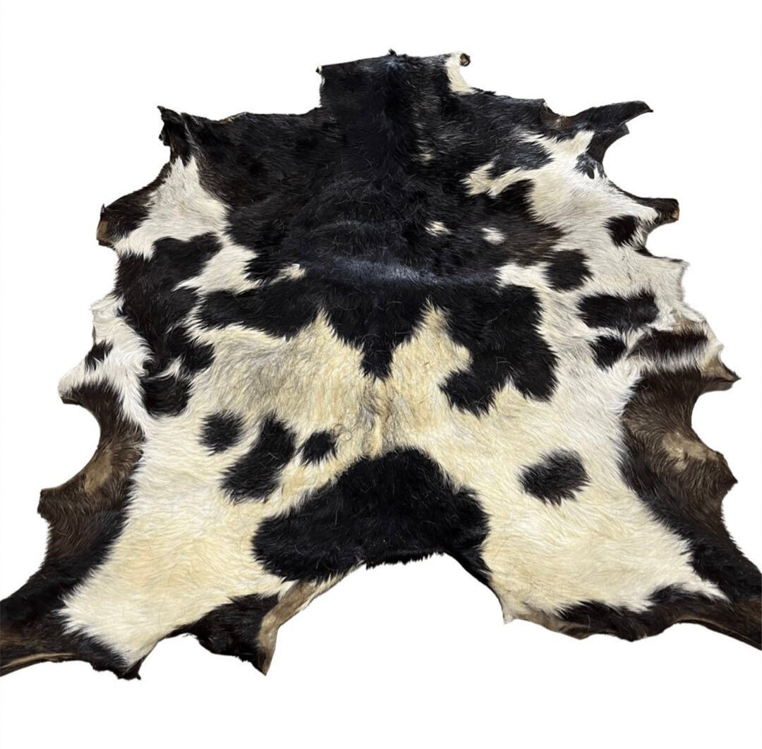 Rawhide - Goat - Hair on - Hides & Leathers -