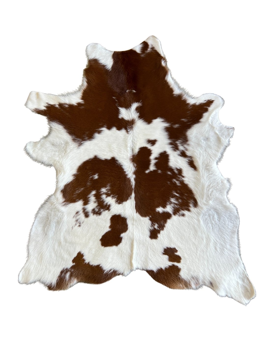 Calf Hide - Brown and White - Hides & Leather Store - By Trahide - Calf Hide