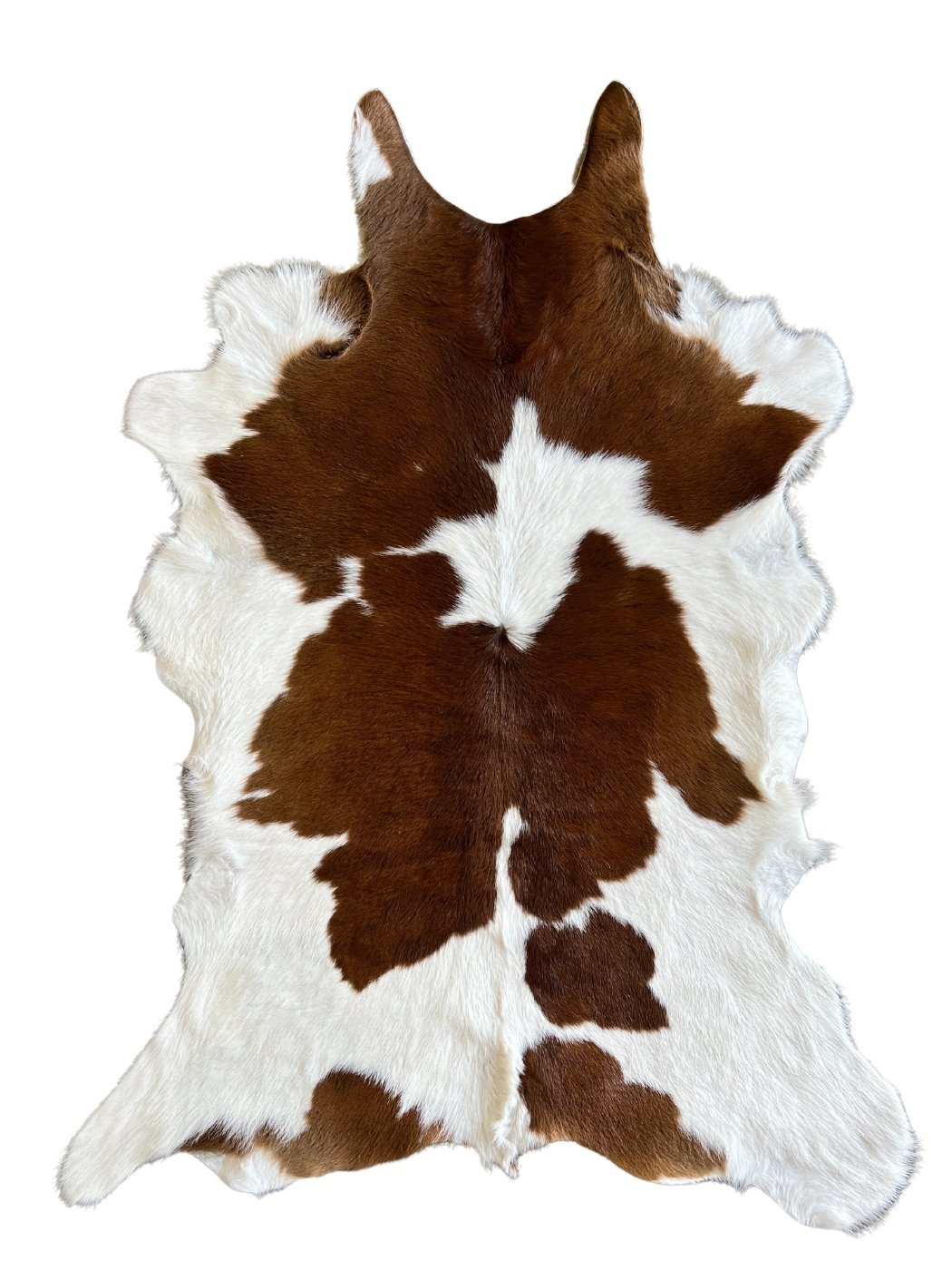 Calf Hide - Brown and White - Hides & Leather Store - By Trahide - Calf Hide