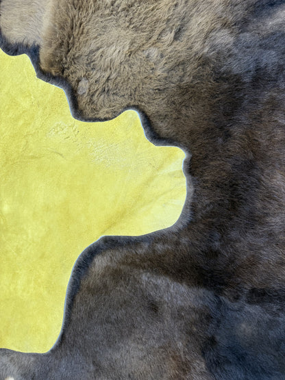 Buffalo/Bison Hair-On Hide Rug Large | Signature First-Grade with Bonus Tricolor Cowhide Rug Medium