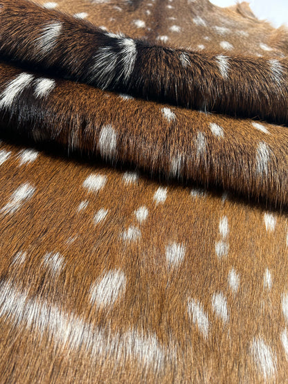 Axis Deer Hair-On Hide Rug | Standard-Grade Spotted Fawn Pattern