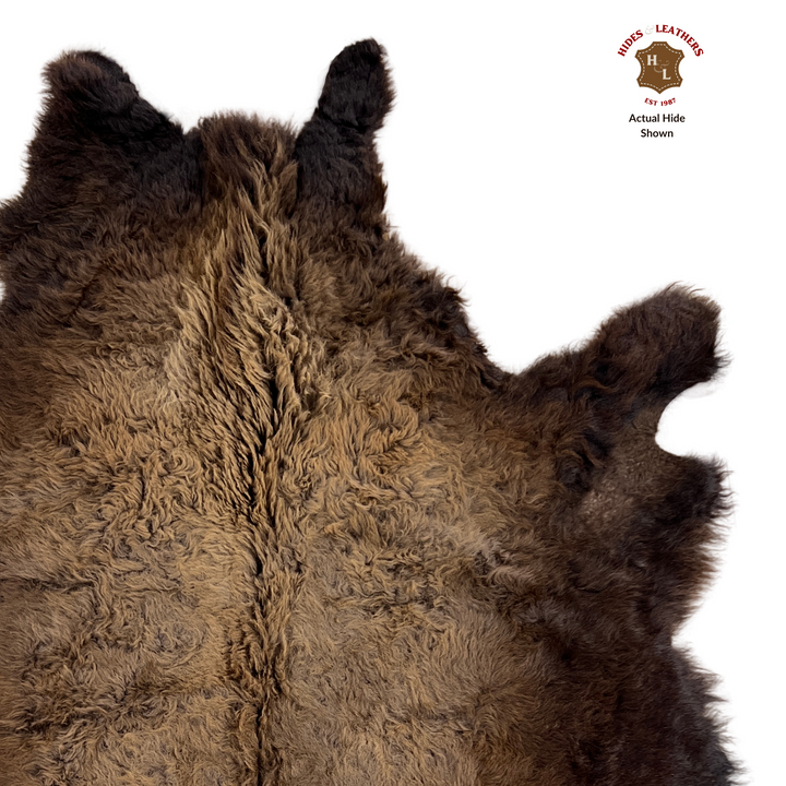 Buffalo / Bison Rug & Hide - First Grade Large L003