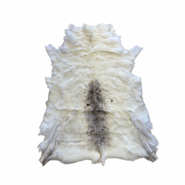 Reindeer Indoor Quality (Get this exact hide shown)