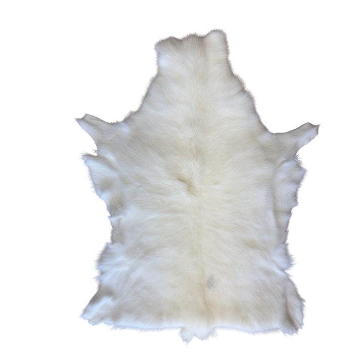 Reindeer Indoor Quality (Get this exact hide shown)