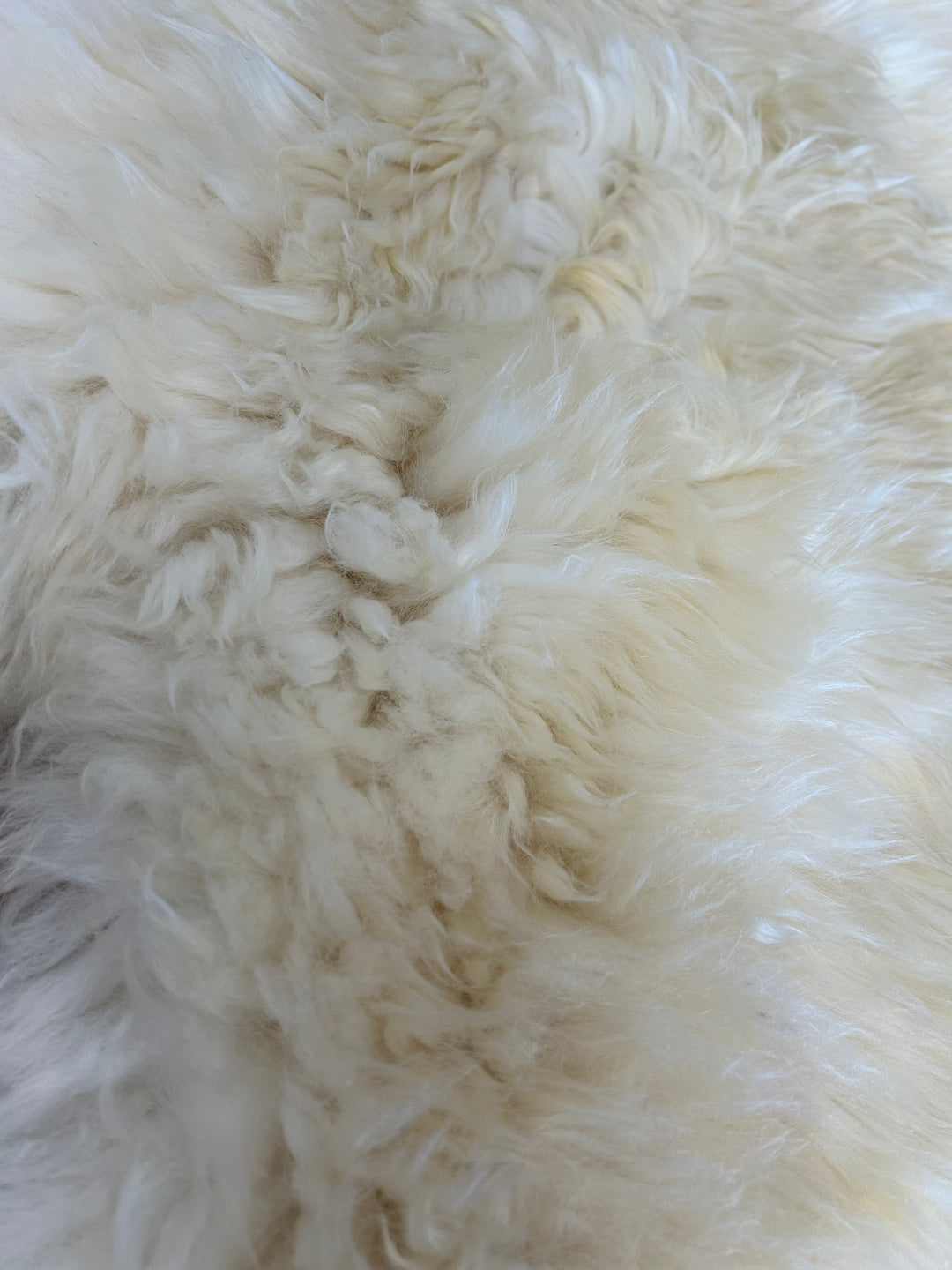 Natural Ivory Plush Sheepskin Rug (Large)