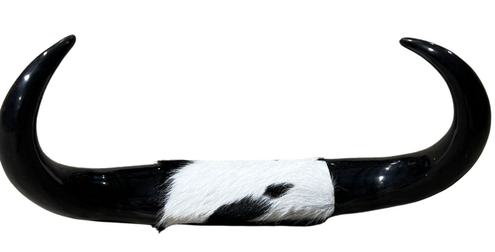 Longhorn Home Decor - Black and White Cowhide, Horns and Wood
