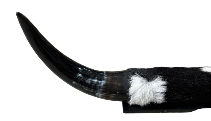 Longhorn Home Decor - Black Cowhide, Horns and Wood
