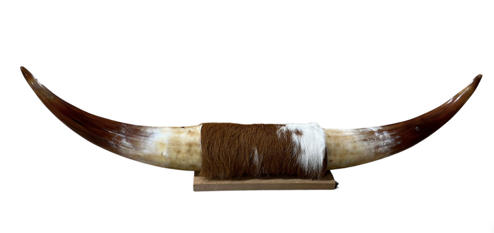 Longhorn Home Decor - Brown Cowhide, Horns and Wood