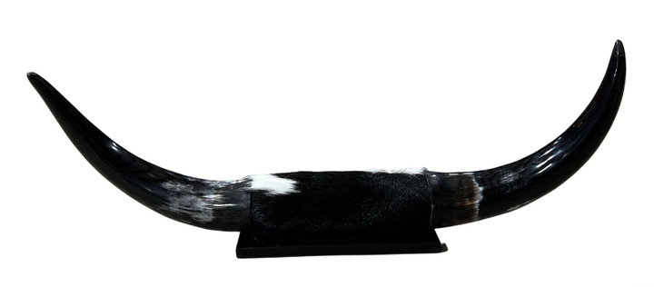 Longhorn Home Decor - Black Cowhide, Horns and Wood