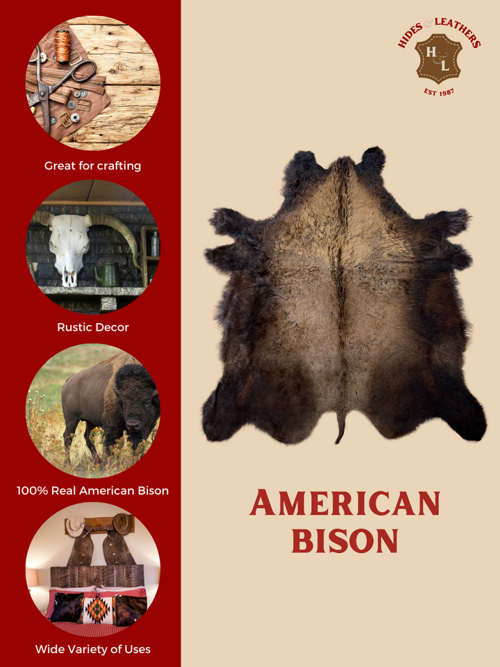 Buffalo / Bison Rug & Hide - First Grade Large L003