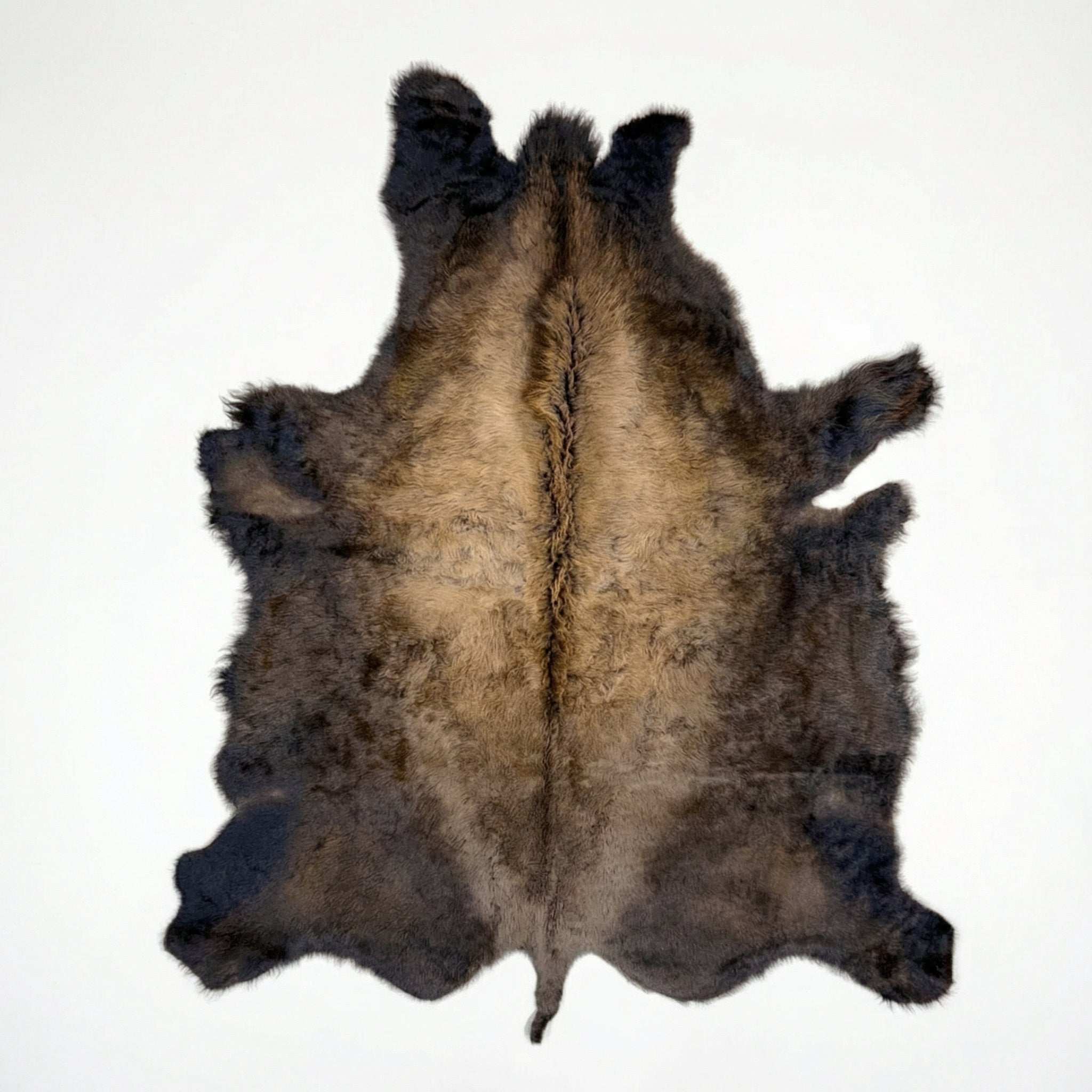 アメリカンバッファロー　牛皮　毛皮　ラグ american-bison-hide-rug-first-