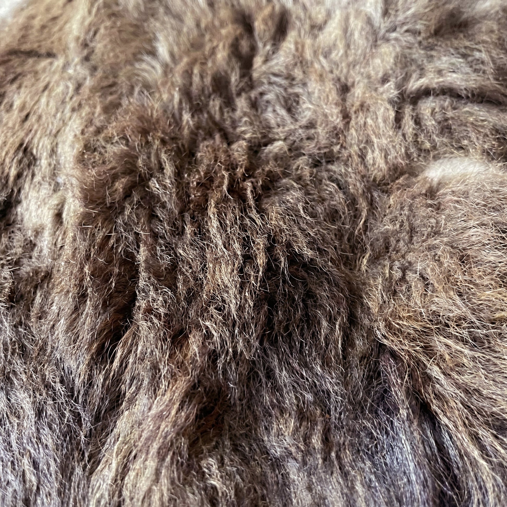 American Bison Hide Rug - Good Second Grade | 7'x6' - Hides & Leathers - Buffalo Rugs