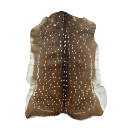 Axis Deer Hide Second Grade - Hides & Leathers - 