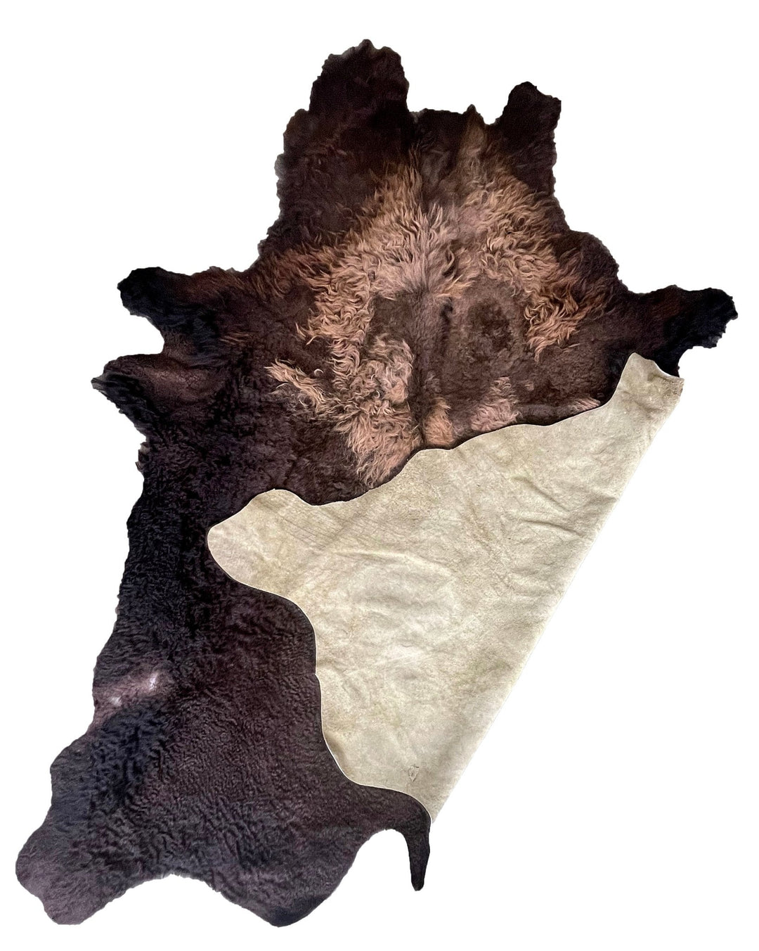Bison / Buffalo Rug & Hide - Good Second - Large - Hides & Leathers - Buffalo Rugs