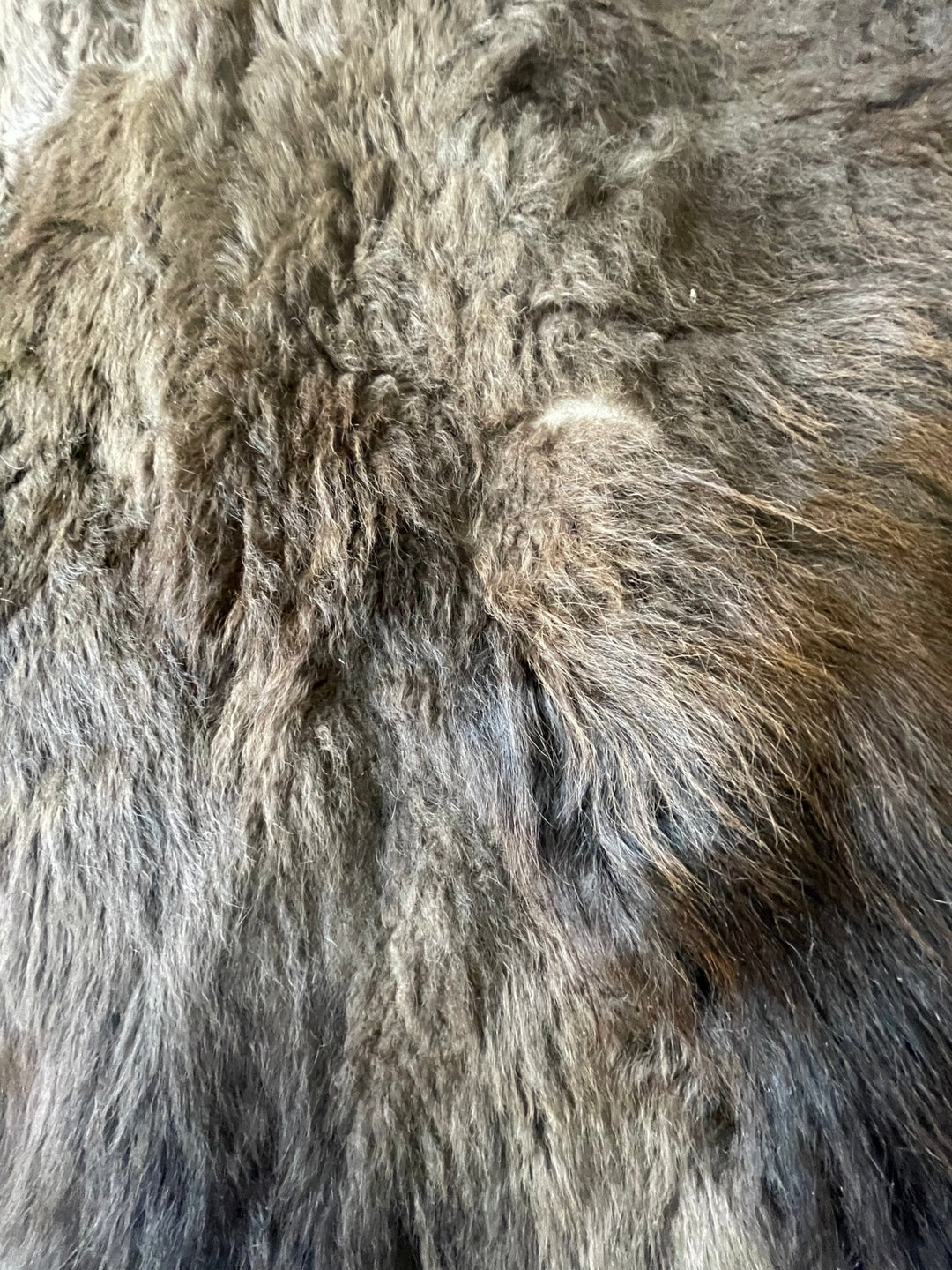 Bison / Buffalo Rug & Hide - Good Second - Large - Hides & Leathers - Buffalo Rugs