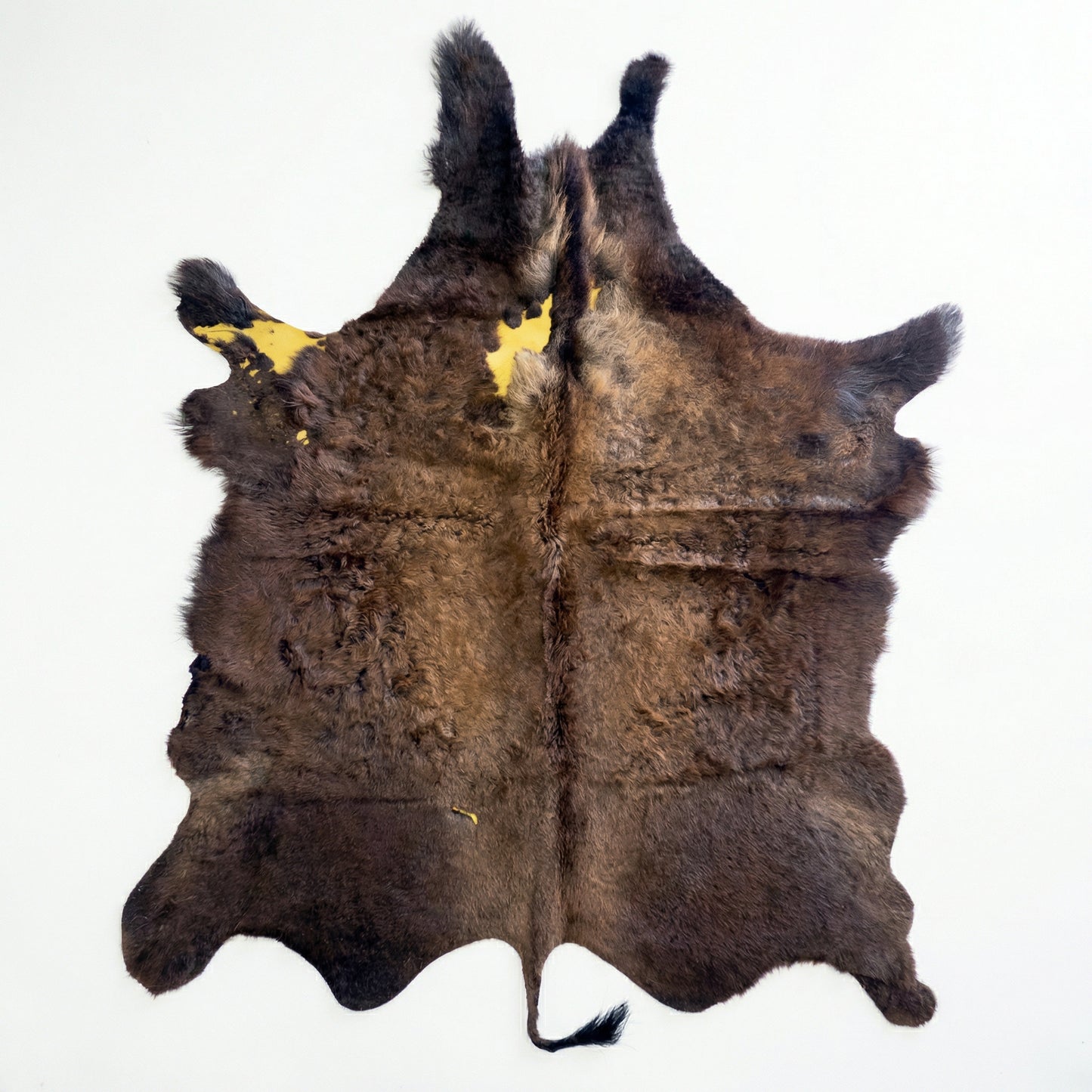 American Bison Hide Rug - Second Grade | 7'x6'