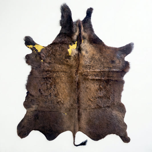 American Bison Hide Rug - Second Grade | 7'x6'