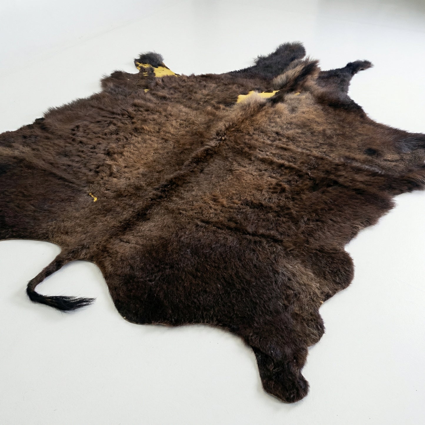 American Bison Hide Rug - Second Grade | 7'x6'