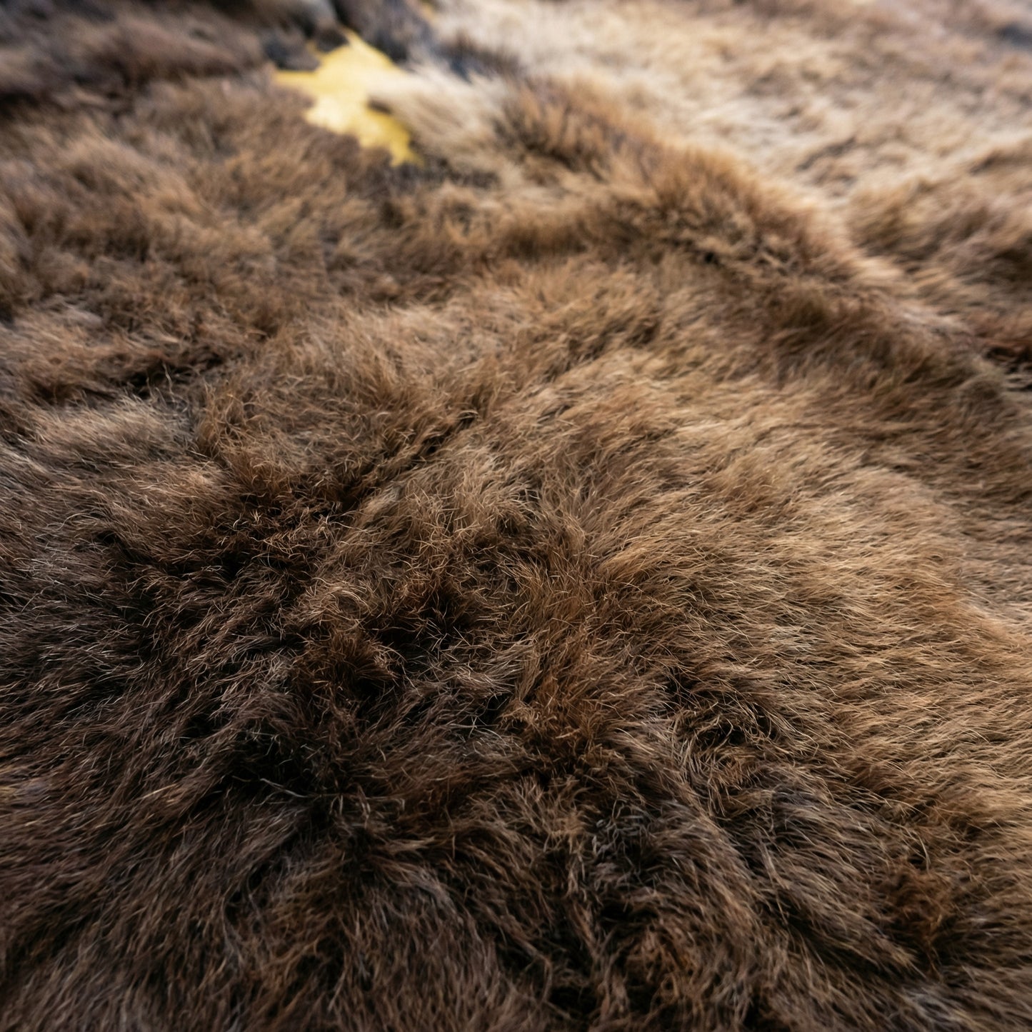 American Bison Hide Rug - Second Grade | 7'x6'