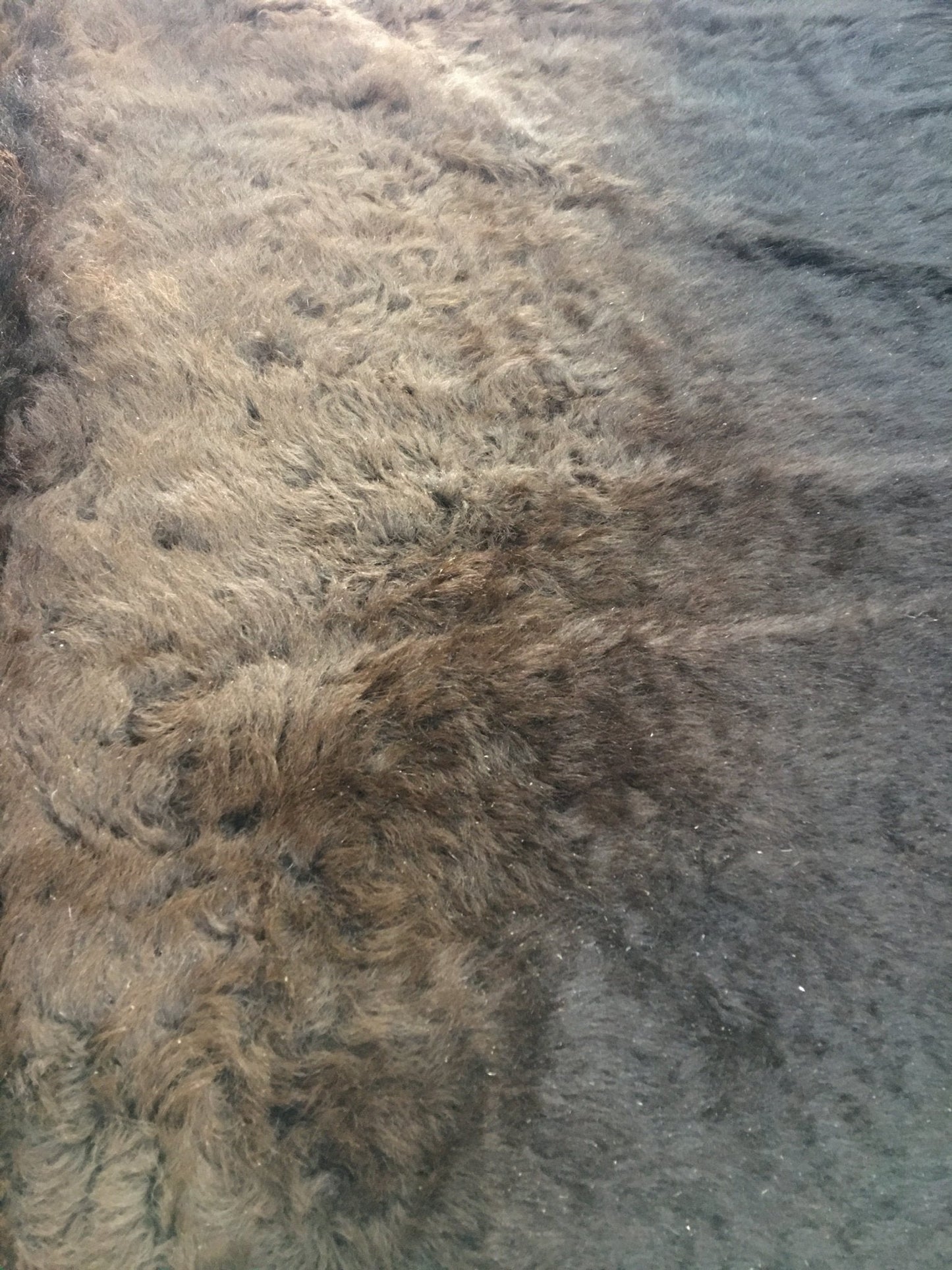 Buffalo / Bison Rug & Hide - First Grade Extra Large - Hides & Leathers - Bison Rugs