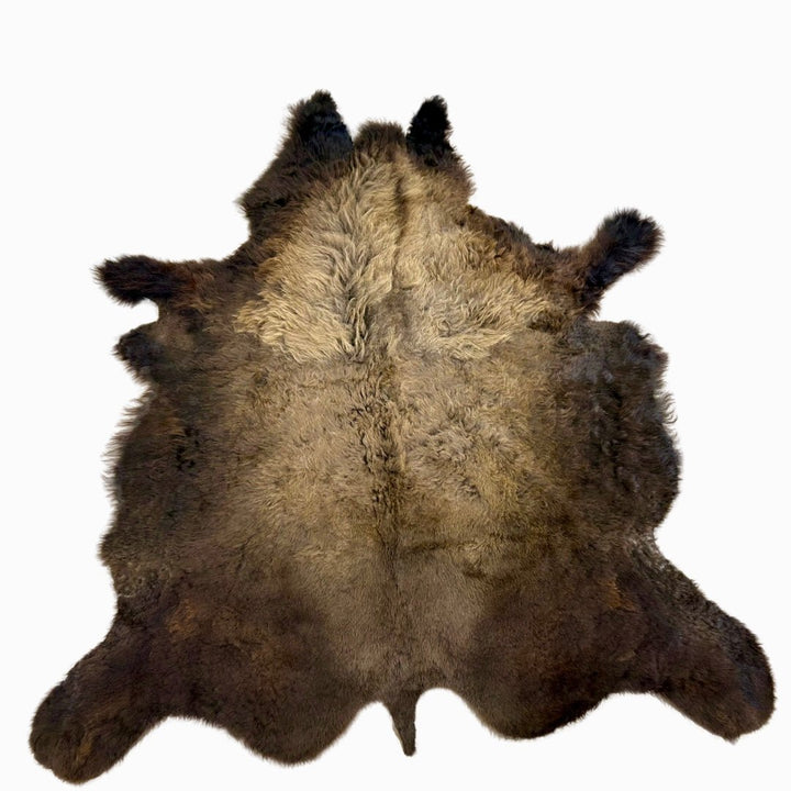 Buffalo / Bison Rug & Hide - First Grade Extra Large - Hides & Leathers - Bison Rugs