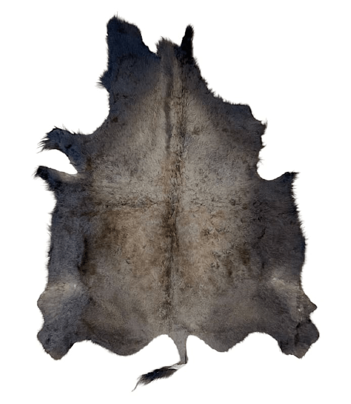 Buffalo / Bison Rug & Hide - First Grade - LARGE 012 - Hides & Leathers - 