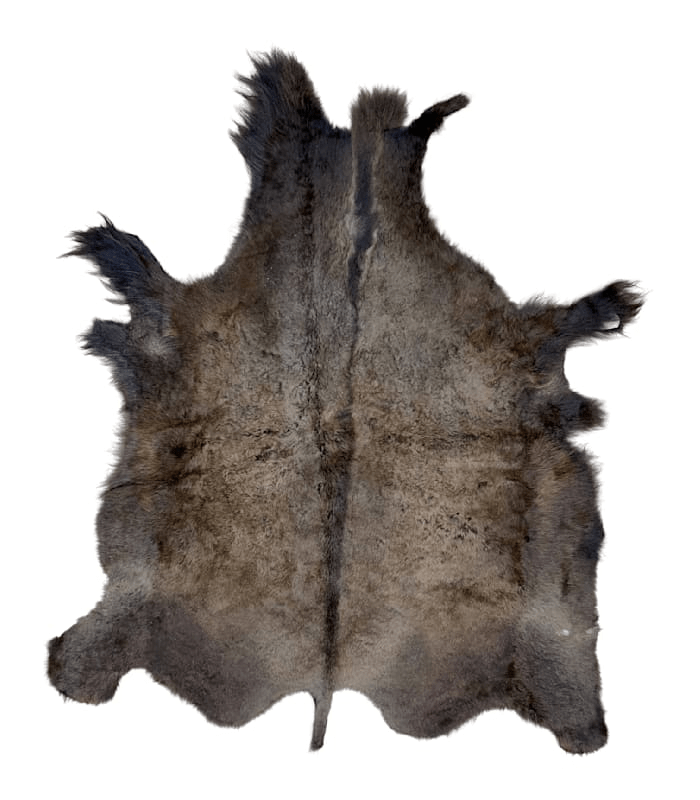 Buffalo / Bison Rug & Hide - First Grade - LARGE 014 - Hides & Leathers - 