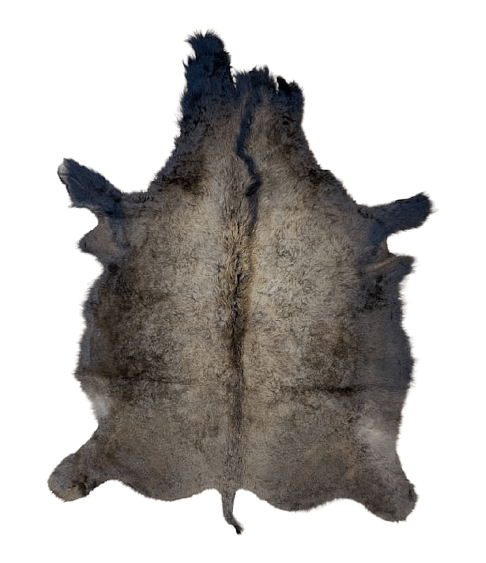 Buffalo / Bison Rug & Hide - First Grade - LARGE 015 - Hides & Leathers - 