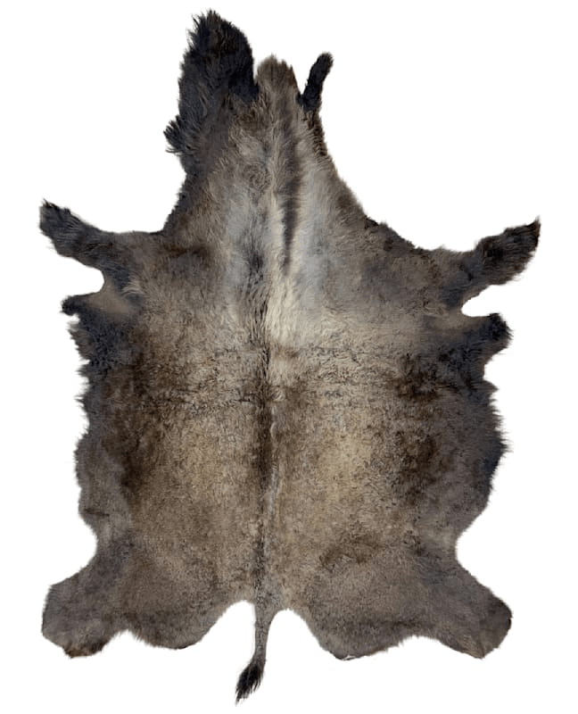 Buffalo / Bison Rug & Hide - First Grade - LARGE 018 - Hides & Leathers - 