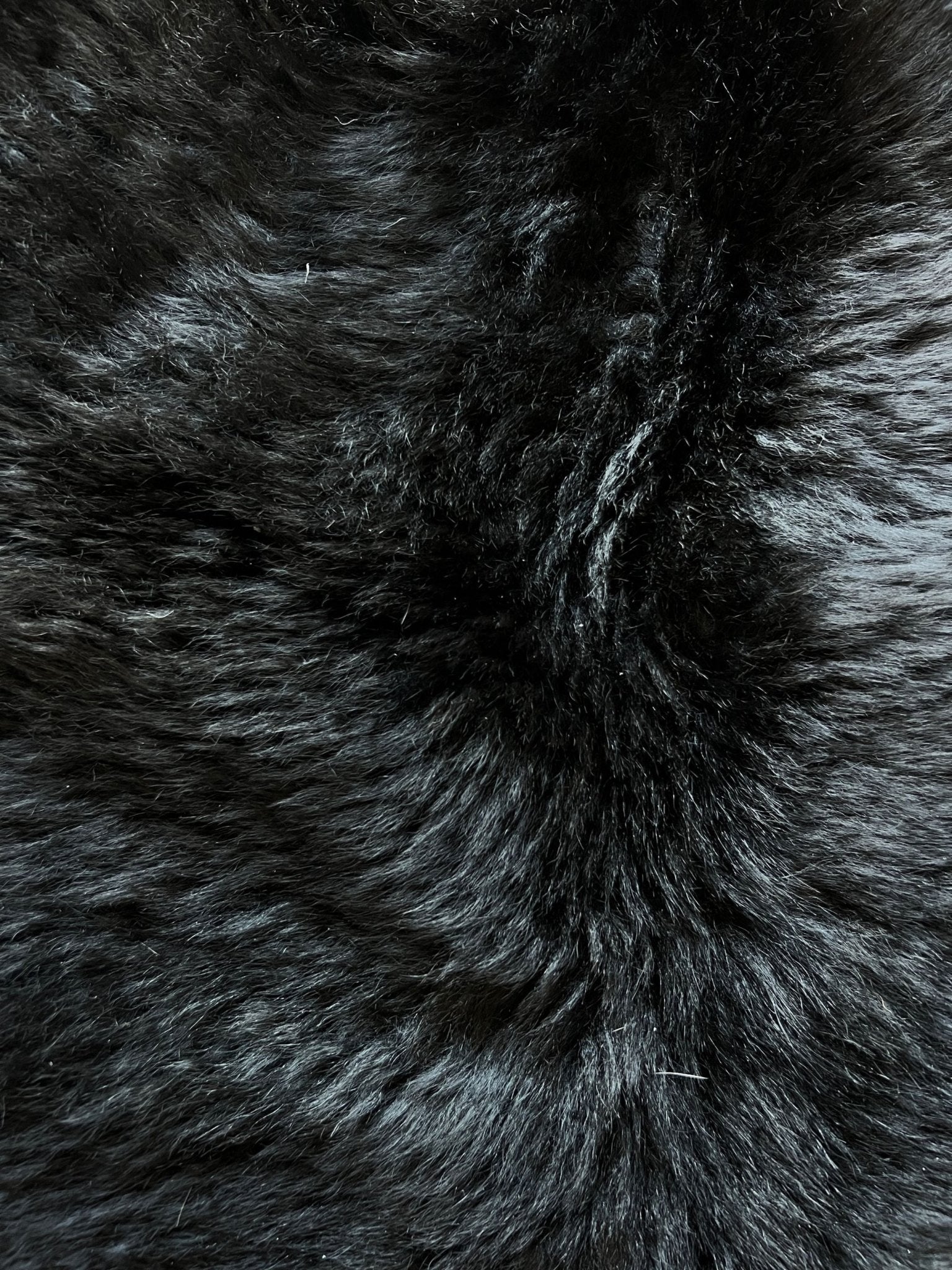 Buffalo Rug & Hide - First Grade Black - Hides & Leathers - Bison Rugs