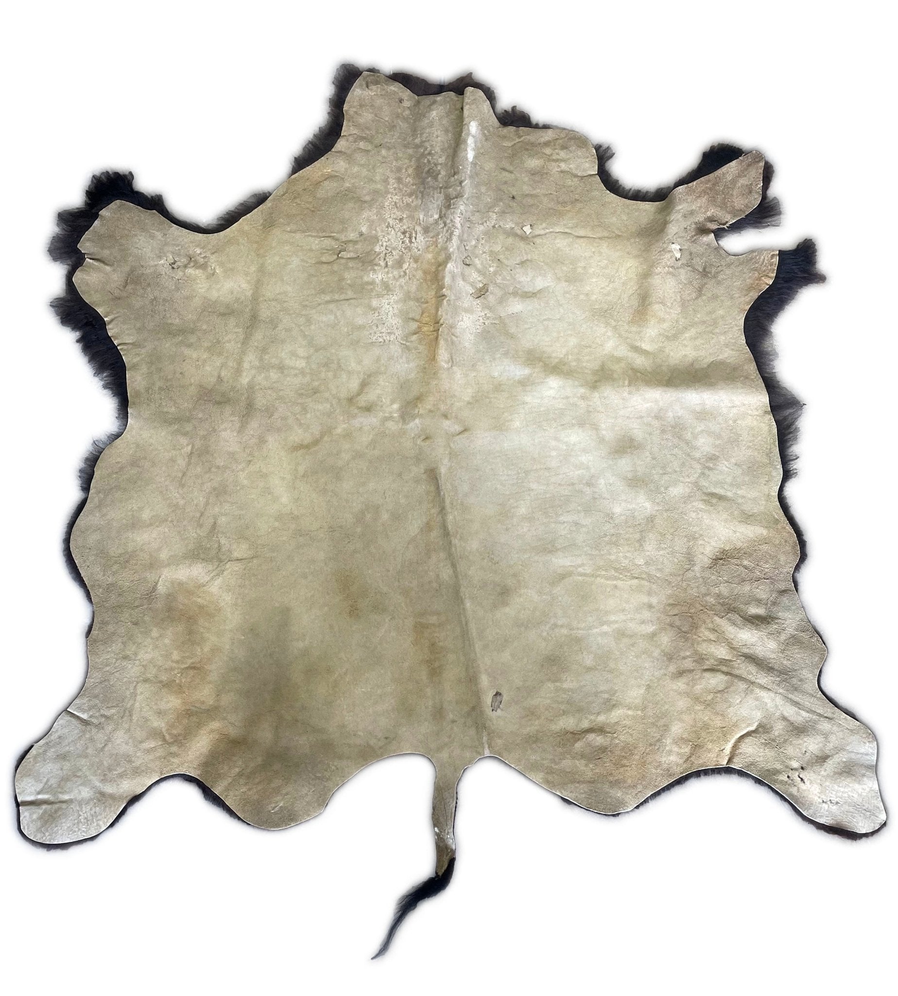 Buffalo Rug & Hide - Third Grade - Hides & Leathers - Bison Rugs