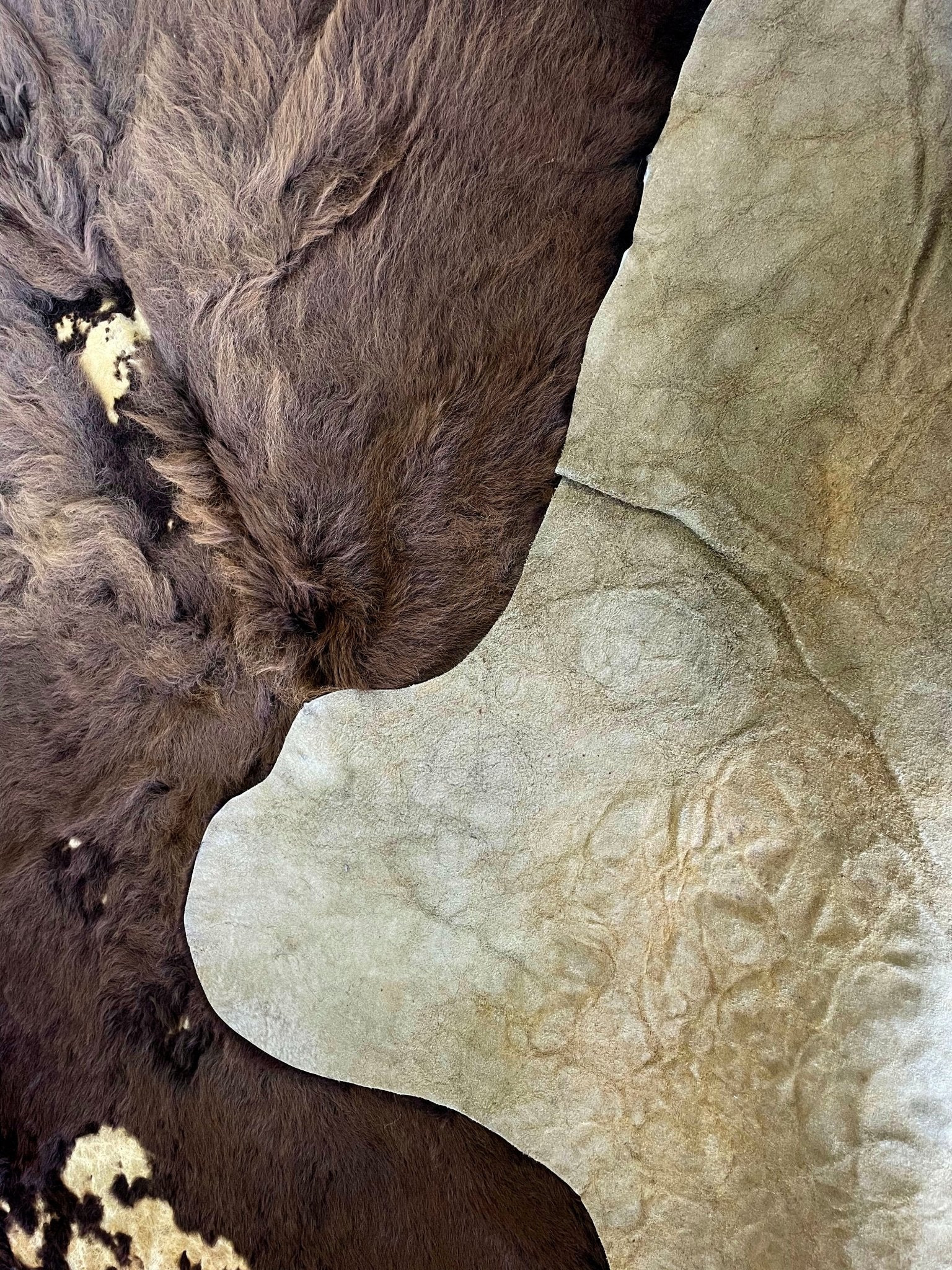 Buffalo Rug & Hide - Third Grade - Hides & Leathers - Bison Rugs