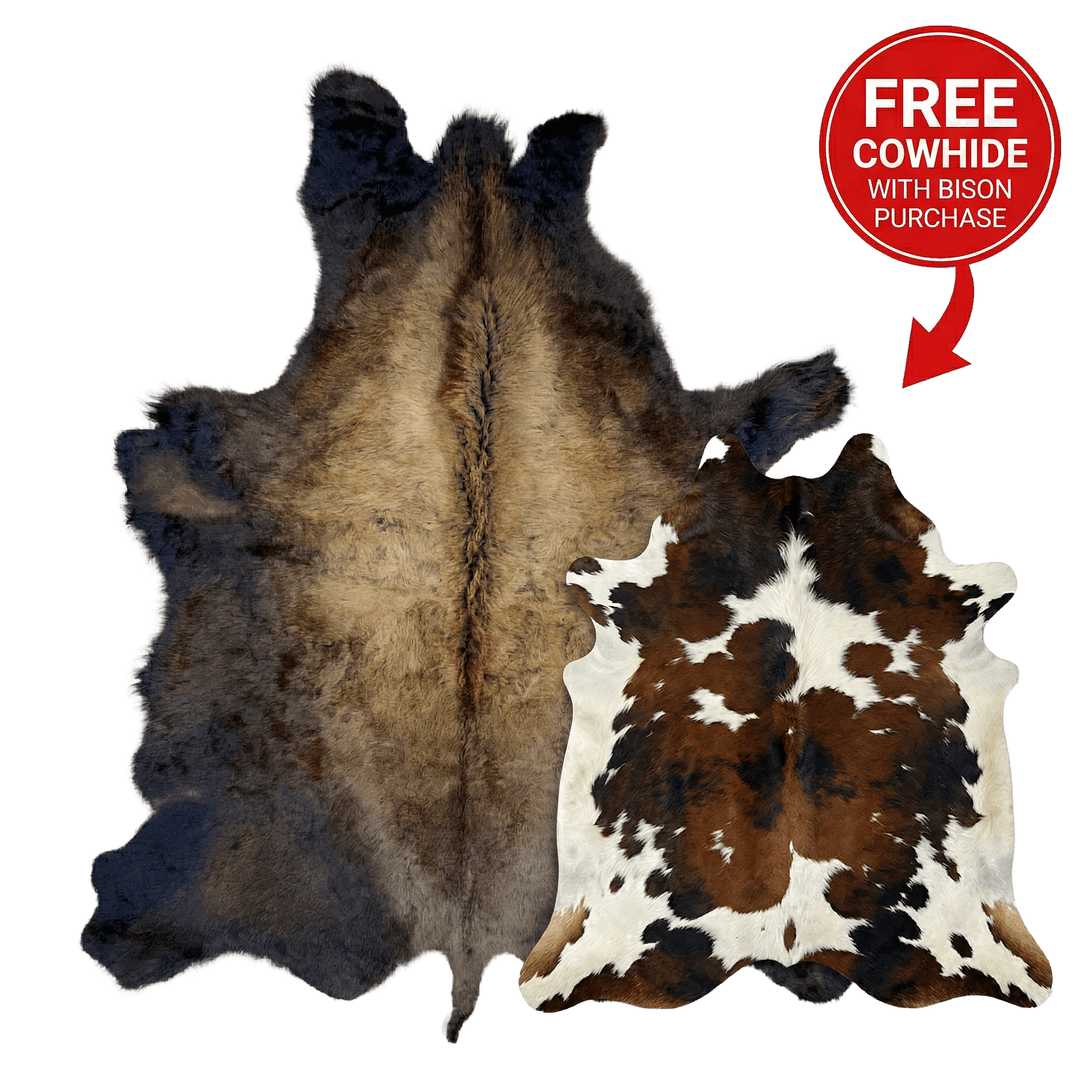 Buffalo/Bison Hair - On Hide Rug Extra Large | Select First - Grade with Bonus Tricolor Cowhide Medium - Hides & Leathers - Bison Rugs