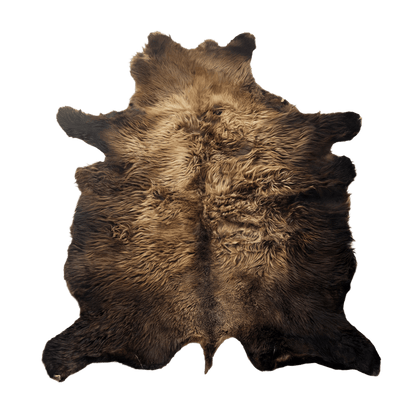 Buffalo/Bison Hair - On Hide Rug Large | First - Grade Natural Shape - Hides & Leathers - Bison Rugs