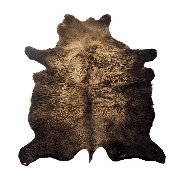 Buffalo/Bison Hair - On Hide Rug Large | First - Grade Natural Shape - Hides & Leathers - Bison Rugs