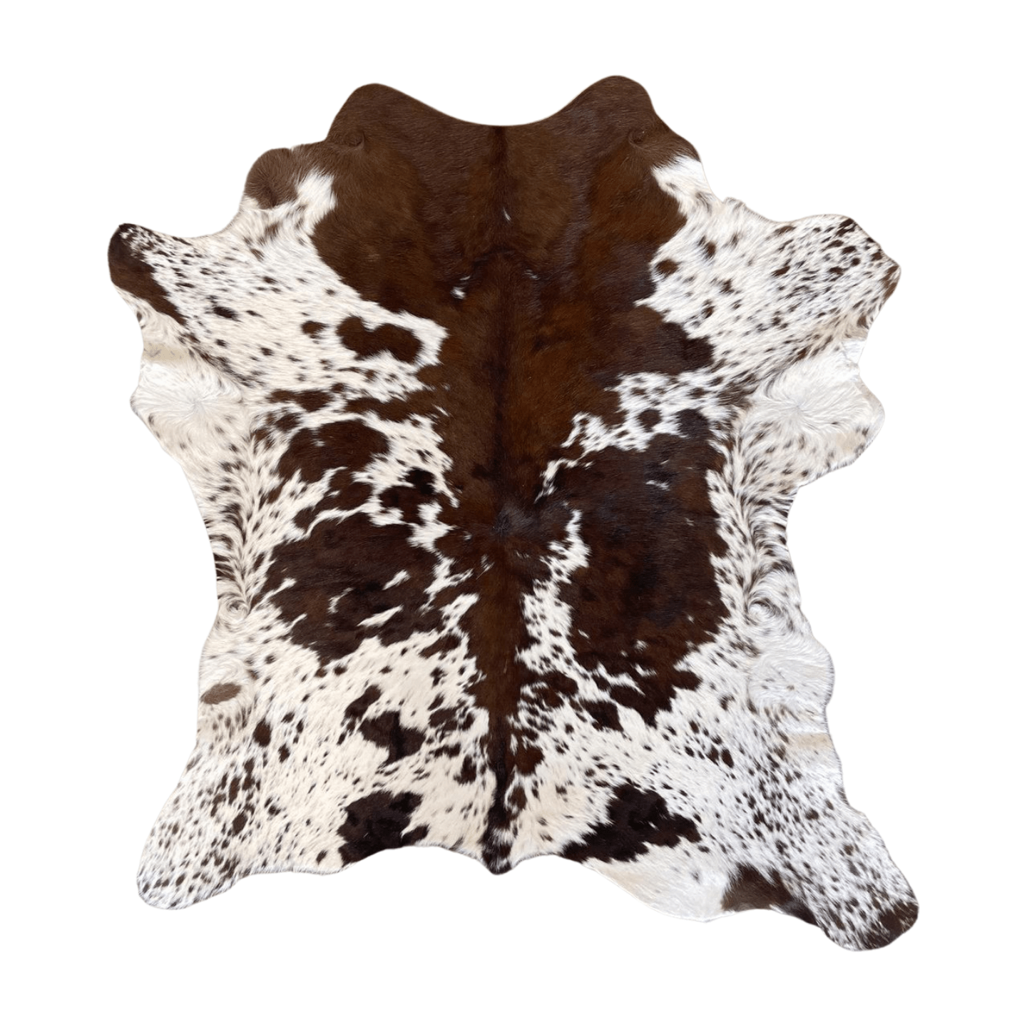 Calf Hide - Exotic Large - Hides & Leathers - Calf Hide