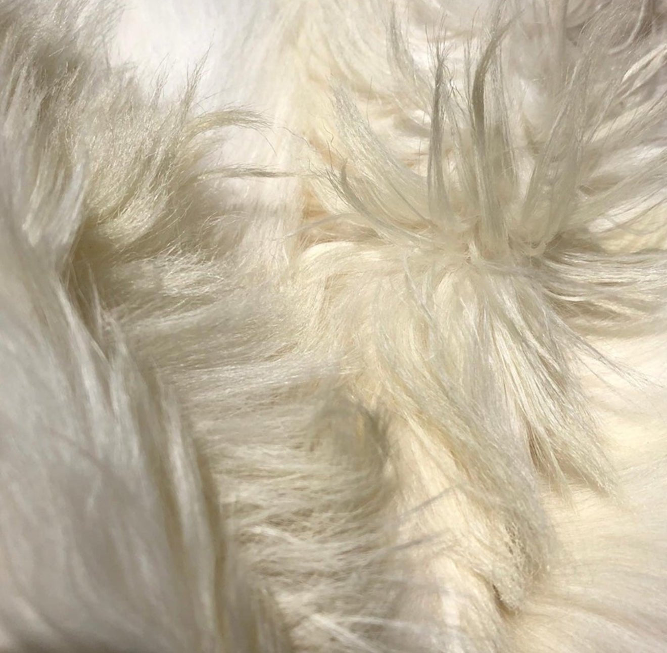 Cashmere Goat Hide - White - Hides & Leathers - 