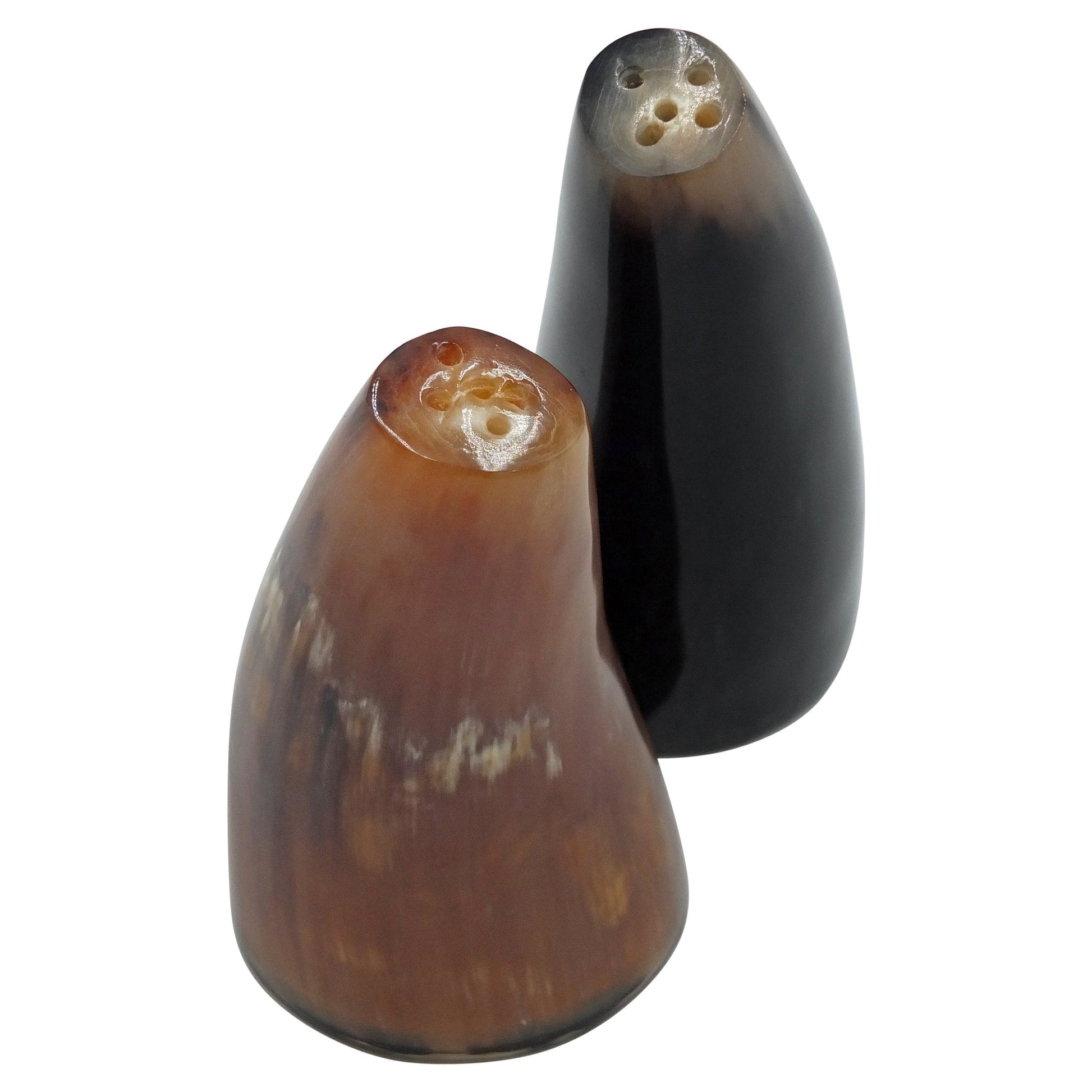 Cow Horn Salt & Pepper Shakers (Set of 2) - Hides & Leathers - 