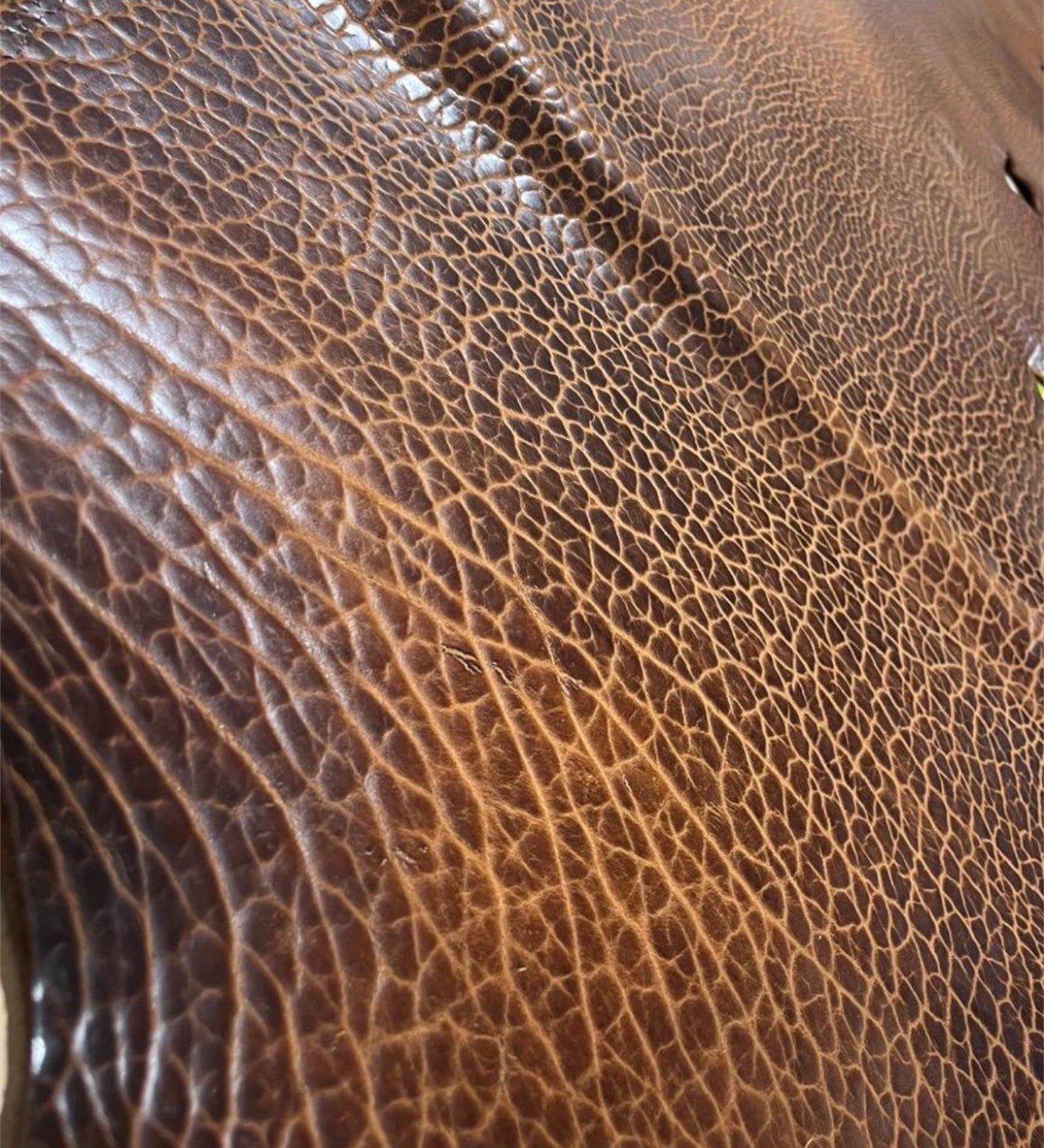 Dyed Natural Grain Bison Leather Sides - Hides & Leathers - Leather