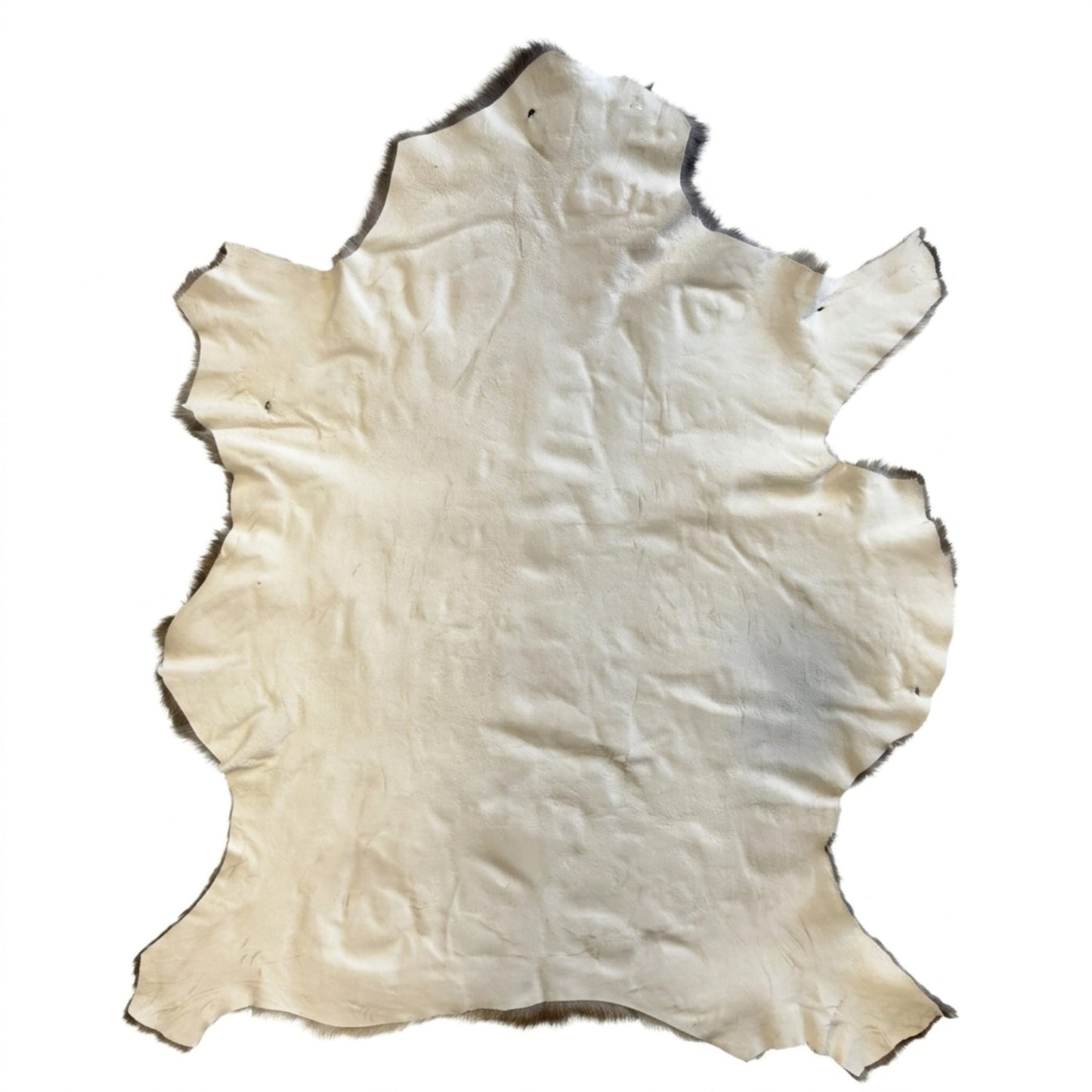 Elk Hide Rug | Icelandic Hair - On – Natural 4.5 x 3.5 Ft - Hides & Leathers - Rug