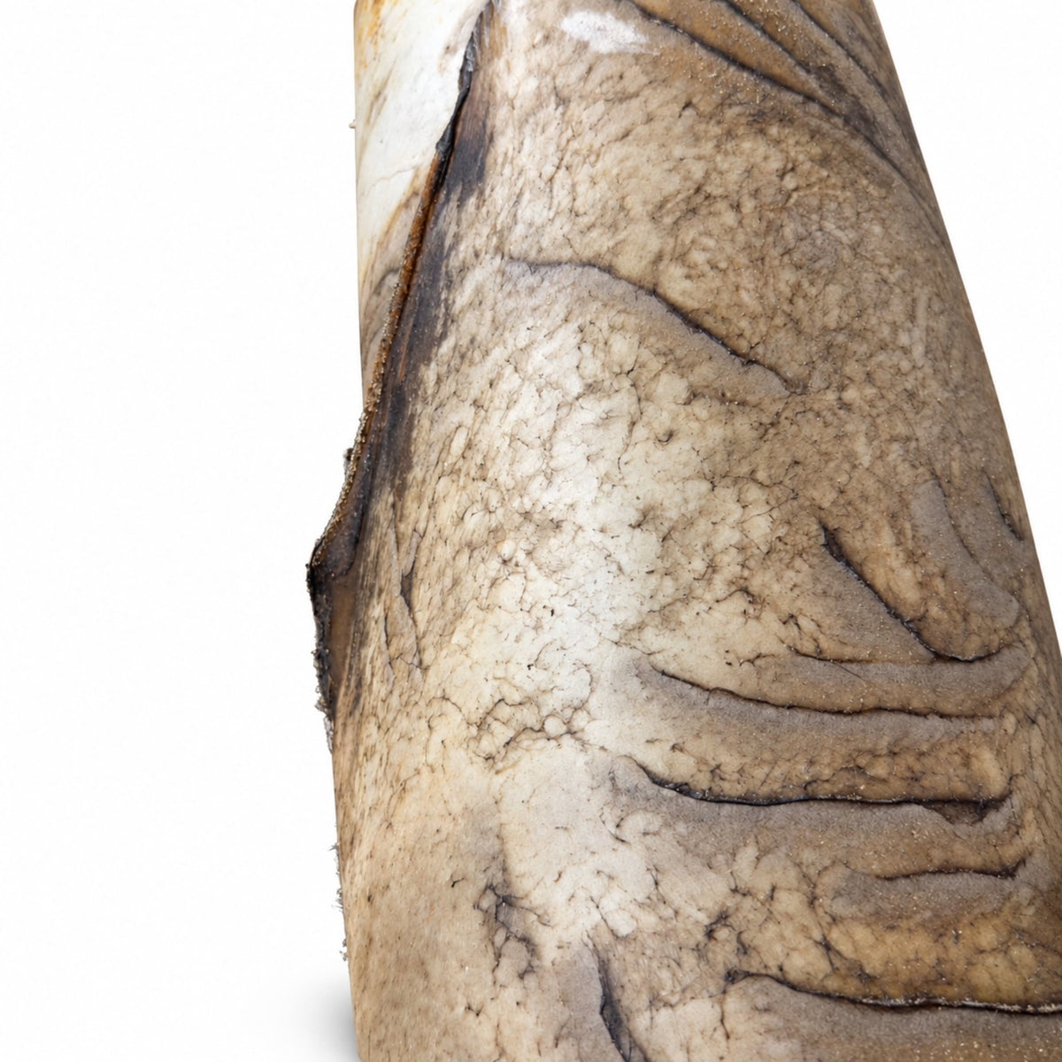 Elk Rawhide | Natural Drum Making Hide – American, Approximately 6 lb - Hides & Leathers - Rawhide