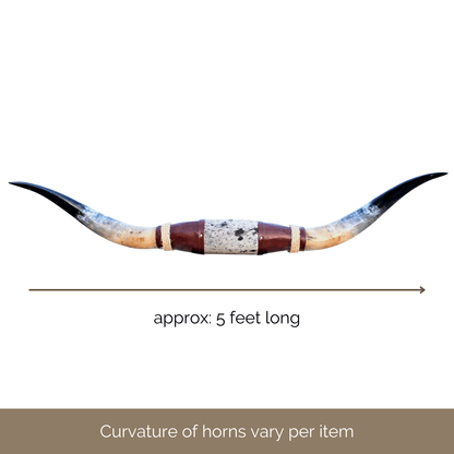Genuine Mounted Polished Steer Horns - 5' Long - Hides & Leathers - accessories