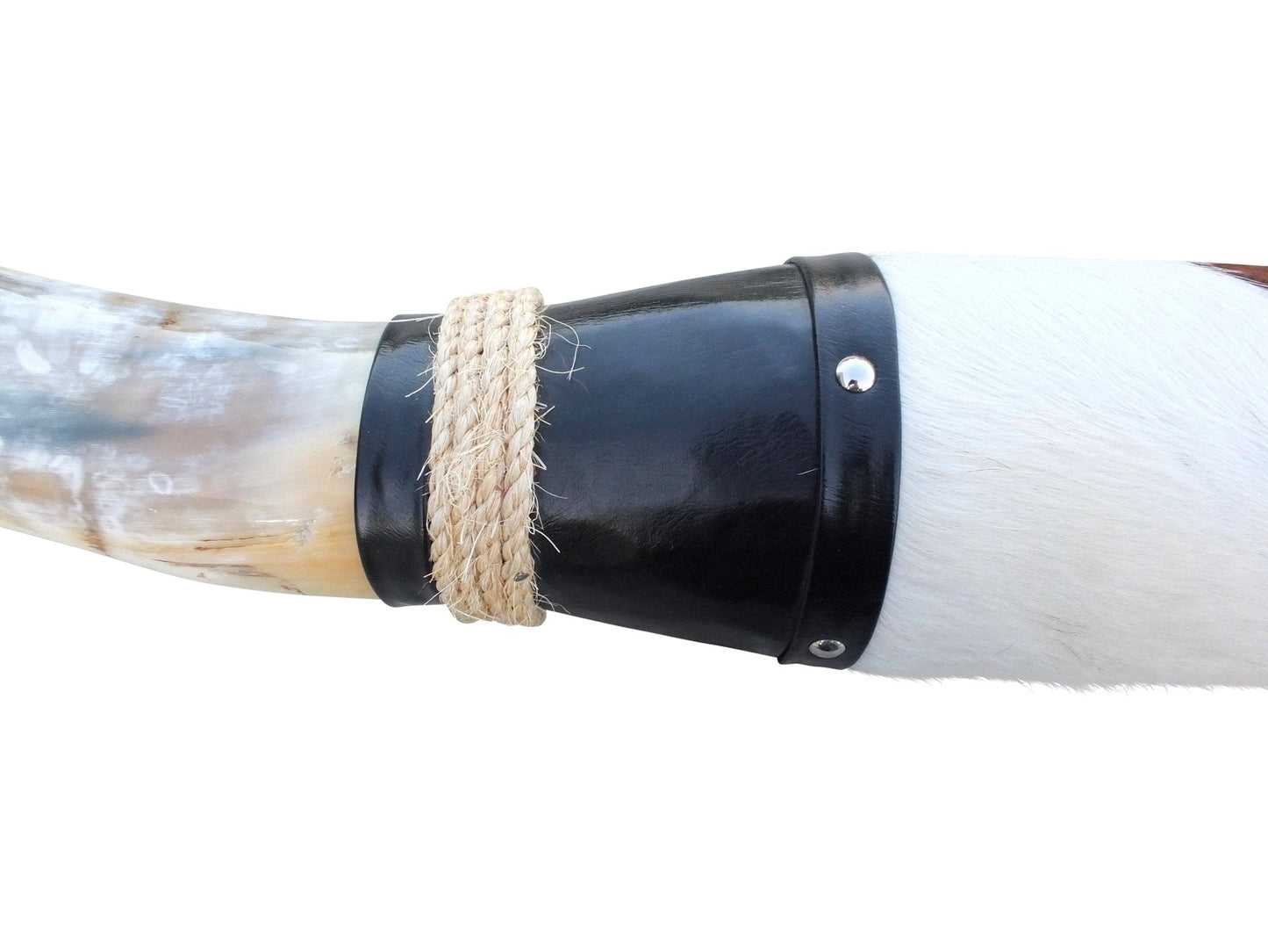 Genuine Mounted Polished Steer Horns - 5' Long - Hides & Leathers - accessories