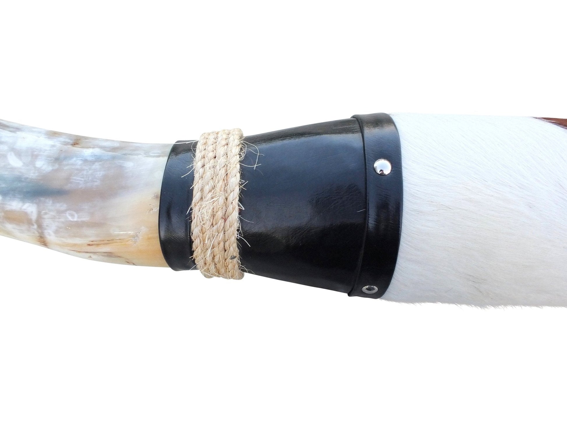 Genuine Mounted Polished Steer Horns - 5' Long - Hides & Leathers - accessories