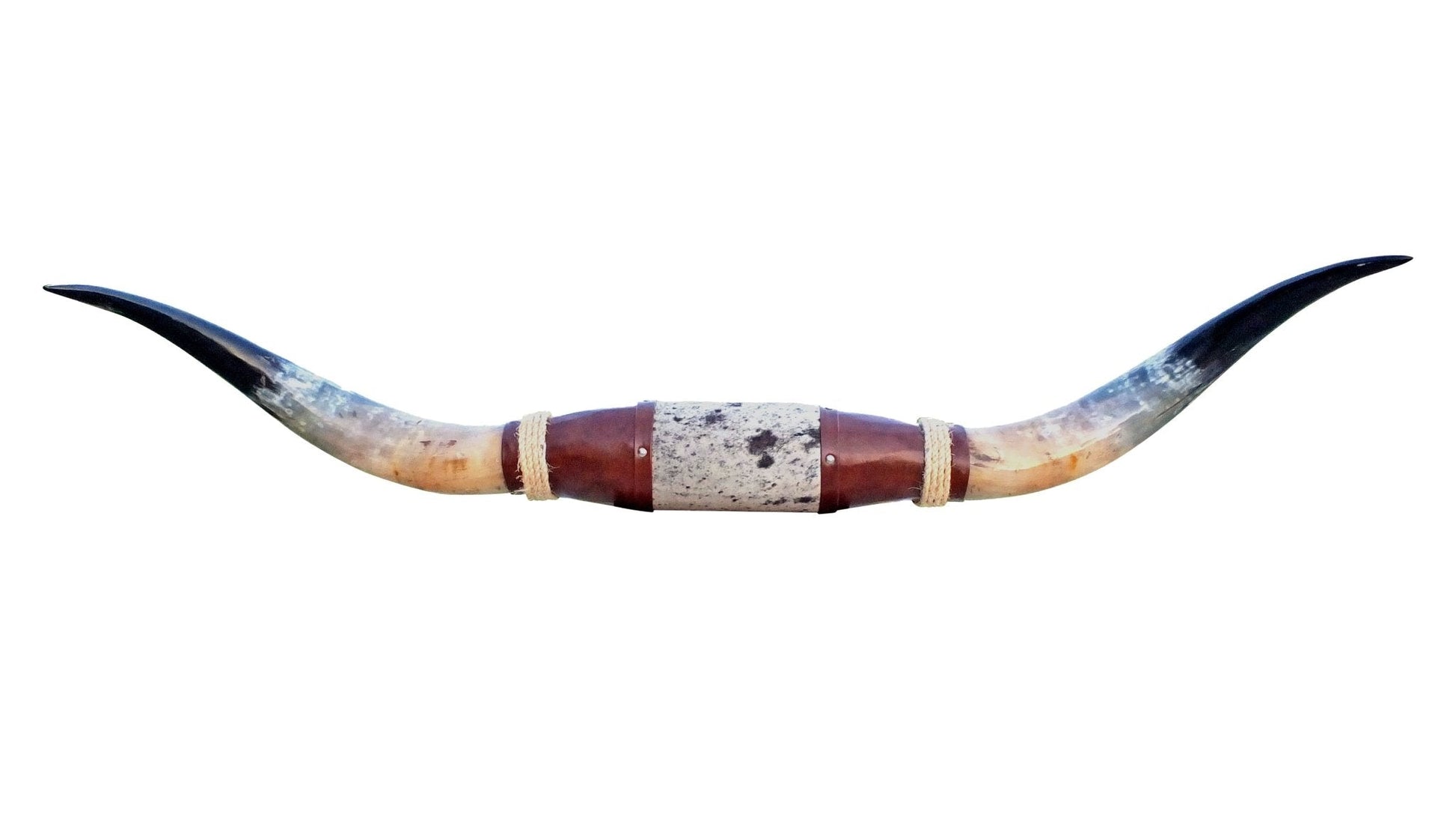 Genuine Mounted Polished Steer Horns - 5' Long - Hides & Leathers - accessories