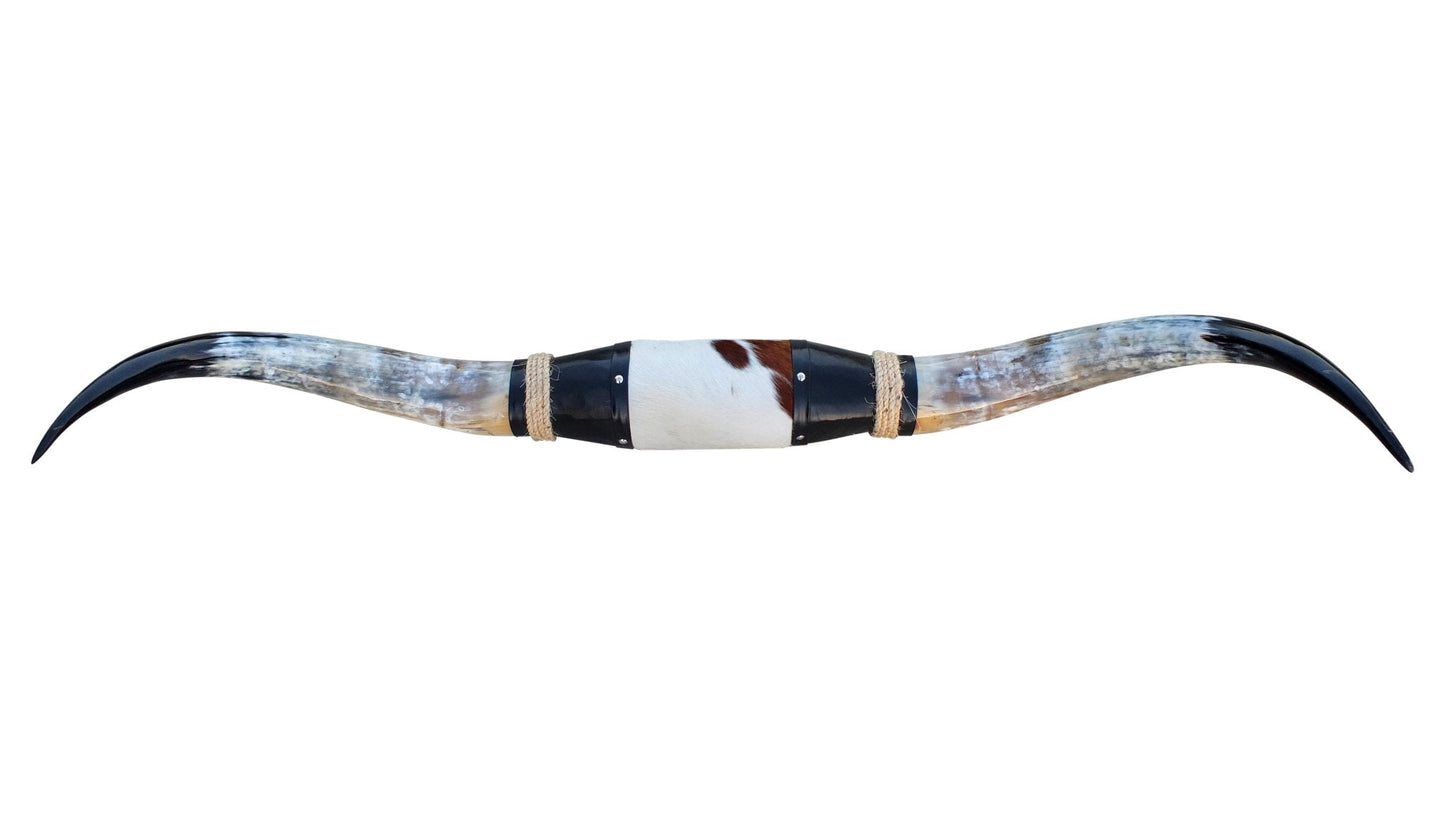 Genuine Mounted Polished Steer Horns - 5' Long - Hides & Leathers - accessories