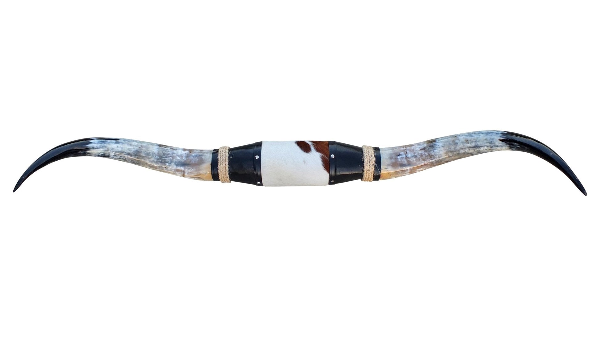 Genuine Mounted Polished Steer Horns - 5' Long - Hides & Leathers - accessories